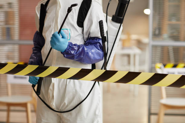 Professional Hoarding Cleanup technician working in Weaverville, CA